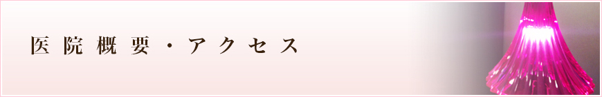 医院概要・アクセス