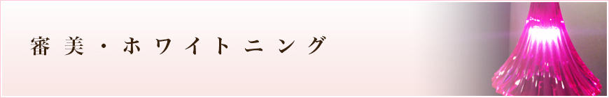 審美・ホワイトニング